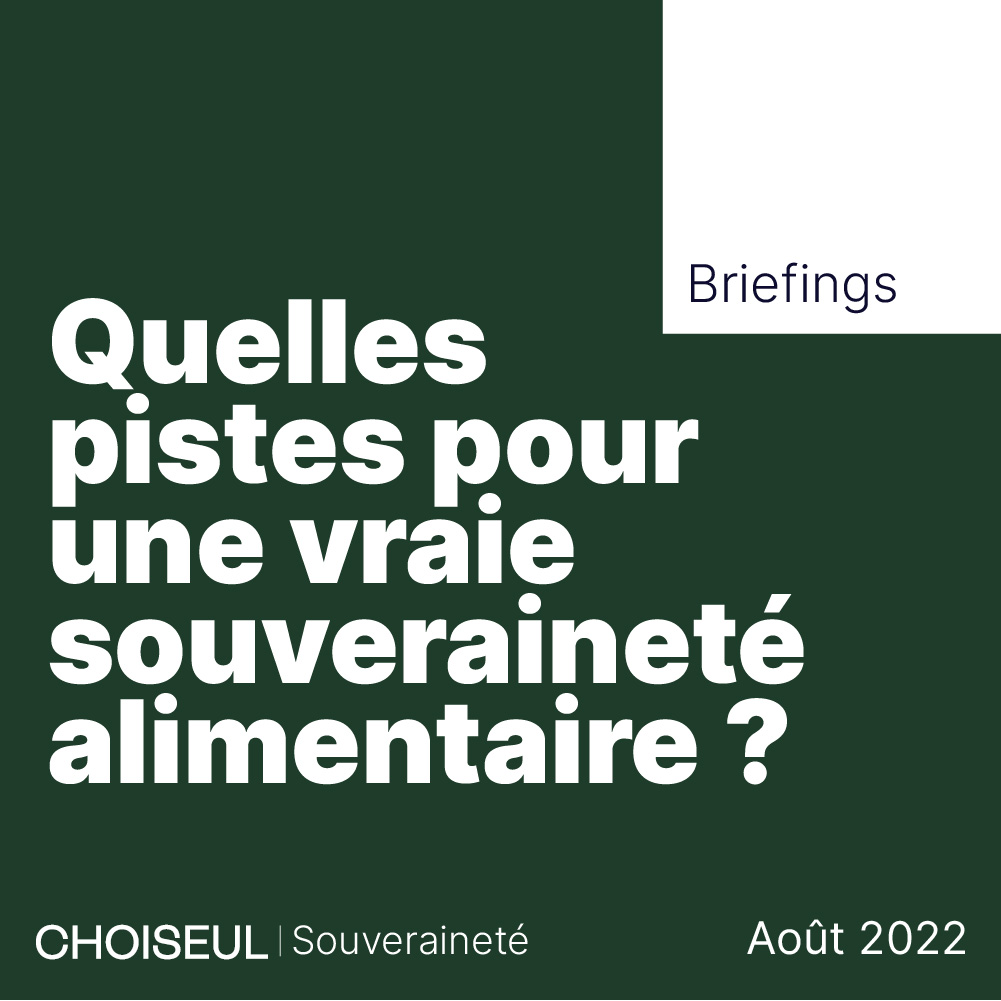 quelles pistes pour une vraie souveraineté alimentaire (2)