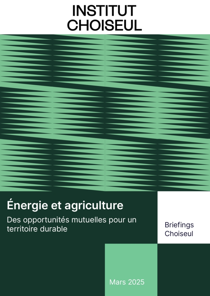 page 1 de briefing choiseul agrivoltaïsme.3 page 0001