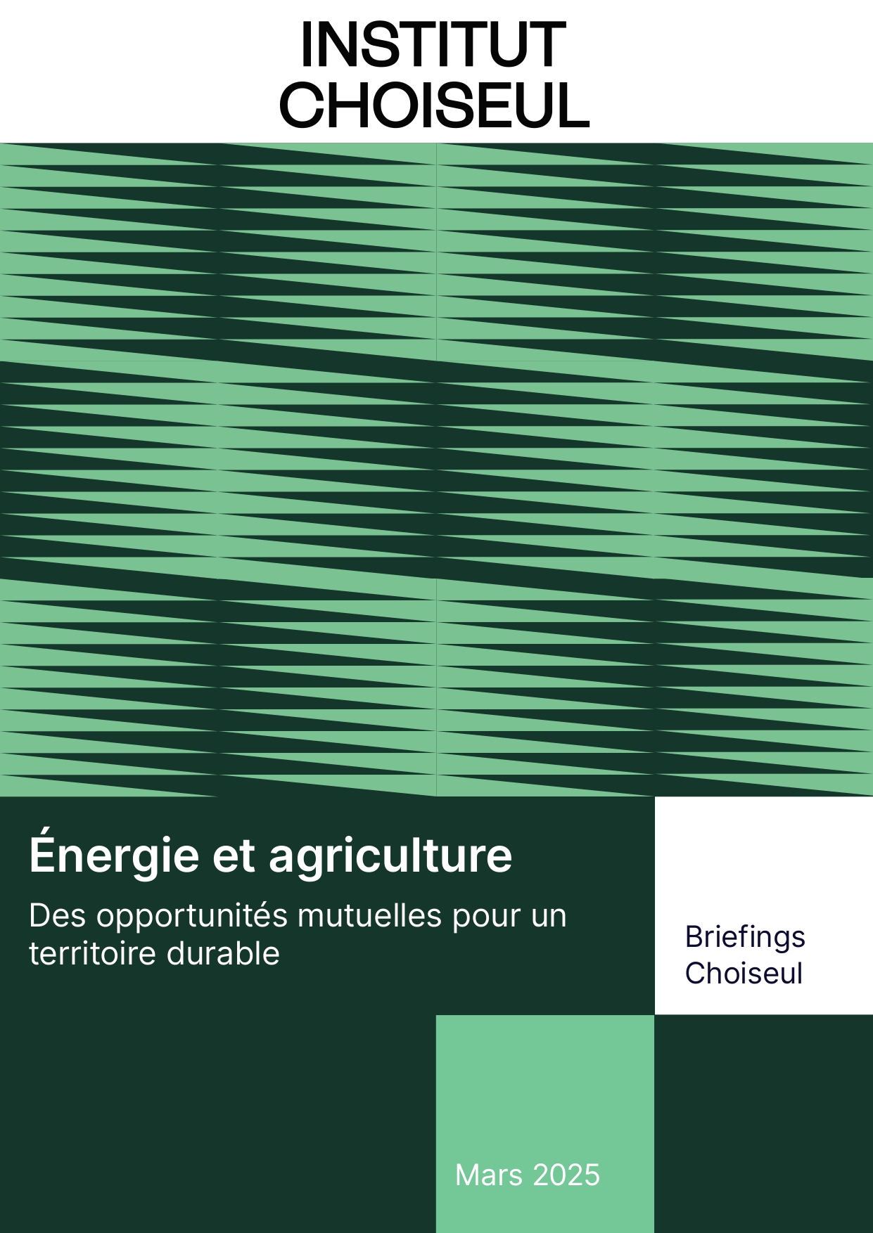 page 1 de briefing choiseul agrivoltaïsme.3 page 0001
