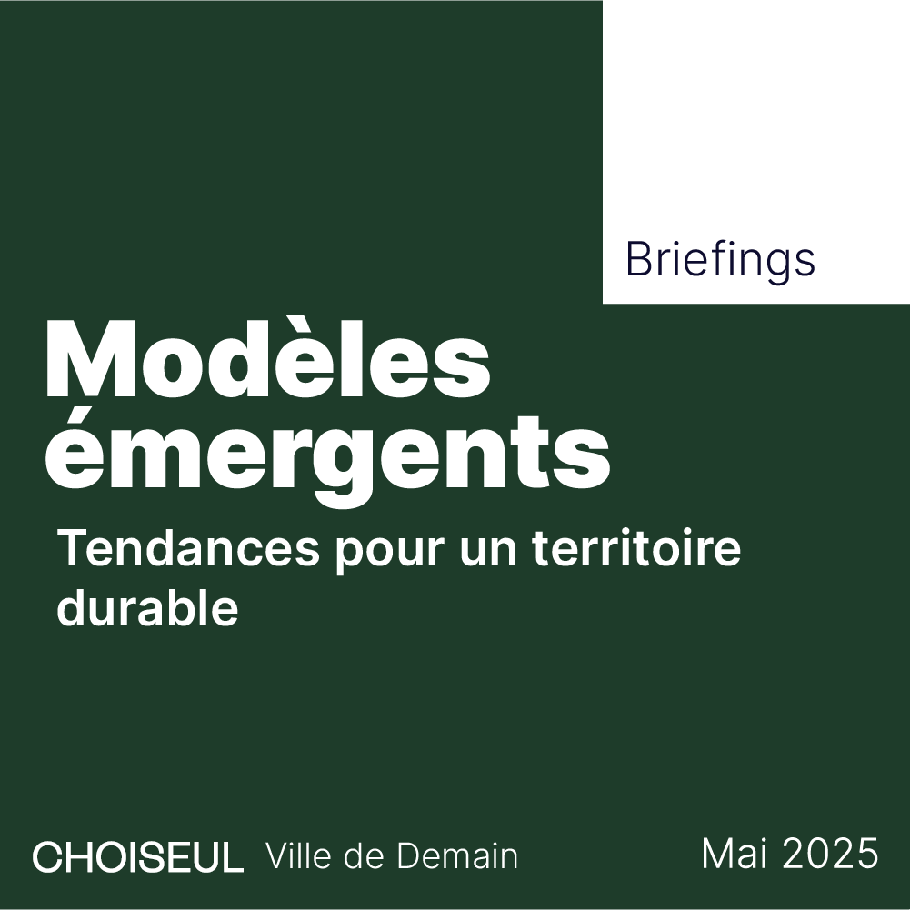 Briefing Choiseul VIlle de demain