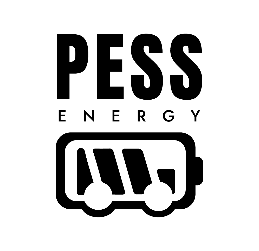 pillot remi logo